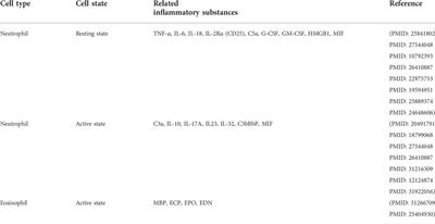 Neutrophils in ANCA-associated vasculitis: Mechanisms and implications for management